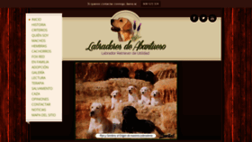 What Labradoresdeabantueso.com website looked like in 2019 (4 years ago)
