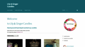 What Lilyandginger.com website looked like in 2019 (4 years ago)
