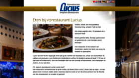 What Lucius.nl website looked like in 2019 (4 years ago)