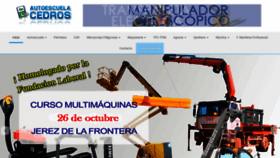 What Loscedros.es website looked like in 2019 (4 years ago)