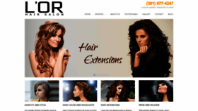 What Lorsalon.com website looked like in 2019 (4 years ago)