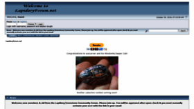What Lapidaryforum.net website looked like in 2019 (4 years ago)