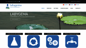 What Labygema.com website looked like in 2019 (4 years ago)