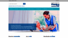 What Labmedicasur.com.mx website looked like in 2019 (4 years ago)