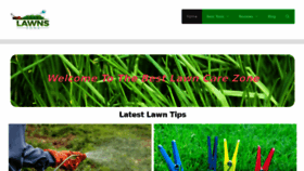 What Lawnszone.com website looked like in 2019 (4 years ago)