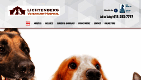 What Lichtenbergvethosp.com website looked like in 2019 (4 years ago)