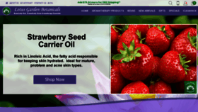 What Lgbotanicals.com website looked like in 2019 (4 years ago)