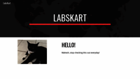 What Labskart.com website looked like in 2019 (4 years ago)