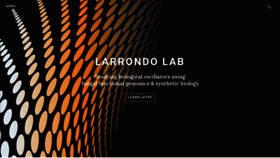What Larrondolab.com website looked like in 2019 (4 years ago)