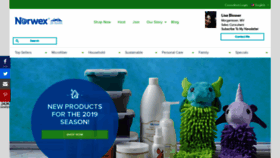 What Lisablosser.norwex.biz website looked like in 2019 (4 years ago)