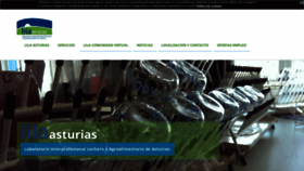 What Lilasturias.com website looked like in 2019 (4 years ago)