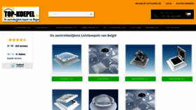 What Licht-koepels.be website looked like in 2019 (4 years ago)