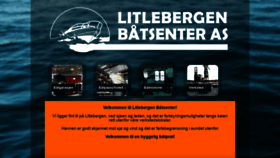 What Litlebergen.no website looked like in 2019 (4 years ago)