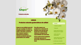 What Lingua-guatemala.com website looked like in 2019 (4 years ago)