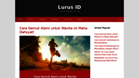 What Lurus.id website looked like in 2019 (4 years ago)