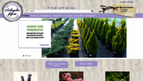 What Lavender-farm.ru website looked like in 2019 (4 years ago)