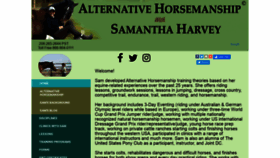 What Learnhorses.com website looked like in 2019 (4 years ago)