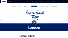 What Landau.com website looked like in 2019 (4 years ago)