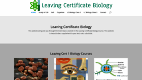 What Leavingbio.net website looked like in 2019 (4 years ago)