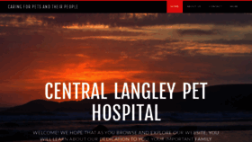 What Langleyvet.com website looked like in 2019 (4 years ago)