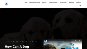 What Littleangelsservicedogs.org website looked like in 2019 (4 years ago)