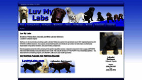 What Luvmylabs.com website looked like in 2019 (4 years ago)