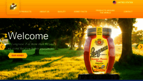 What Langnese-honey.us.com website looked like in 2019 (4 years ago)