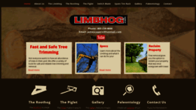What Limbhog.com website looked like in 2020 (4 years ago)