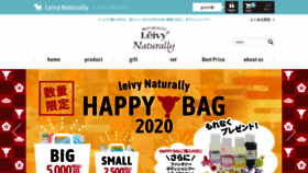What Leivy.jp website looked like in 2020 (4 years ago)