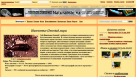 What Lepidoptera.ru website looked like in 2020 (4 years ago)