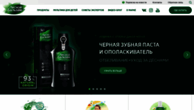 What Lesnoybalzam.ru website looked like in 2020 (4 years ago)