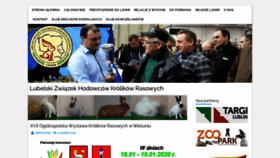 What Lzhkr.pl website looked like in 2020 (4 years ago)