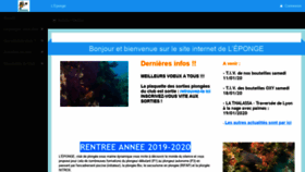 What Leponge.fr website looked like in 2020 (4 years ago)