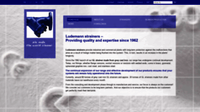 What Ludemann.info website looked like in 2020 (4 years ago)