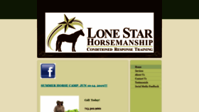 What Lonestarhorsemanship.com website looked like in 2020 (4 years ago)