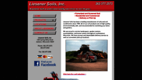What Liesenersoils.com website looked like in 2020 (4 years ago)