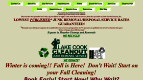 What Lakecookcleanout.com website looked like in 2020 (4 years ago)