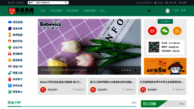 What Lesoz.cn website looked like in 2020 (4 years ago)