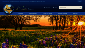 What Lindaletx.gov website looked like in 2020 (4 years ago)