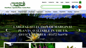 What Lincspplants.co.uk website looked like in 2020 (4 years ago)