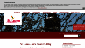 What Luzen.de website looked like in 2020 (4 years ago)