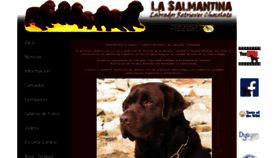 What Labradoresdelasalmantina.com website looked like in 2020 (4 years ago)