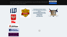 What Lowadowice.pl website looked like in 2020 (4 years ago)