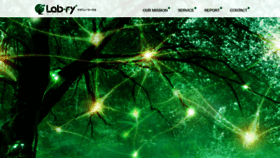 What Lab-ry-works.com website looked like in 2020 (4 years ago)