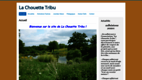 What Lachouettetribu.com website looked like in 2020 (4 years ago)
