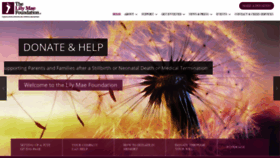 What Lilymaefoundation.org website looked like in 2020 (4 years ago)