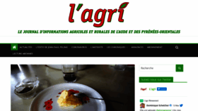What Lagri.fr website looked like in 2020 (4 years ago)