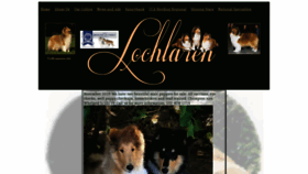 What Lochlarencollies.com website looked like in 2020 (4 years ago)