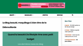 What Ladebrouillarde.com website looked like in 2020 (4 years ago)