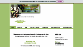 What Levinsonchiro.com website looked like in 2020 (4 years ago)